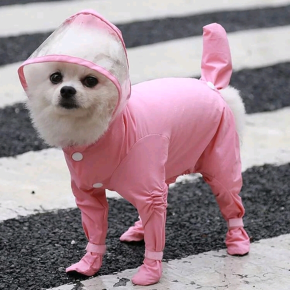 3 for 5$ Shein Dog Red Rain Onesie Medium - Picture 2 of 3